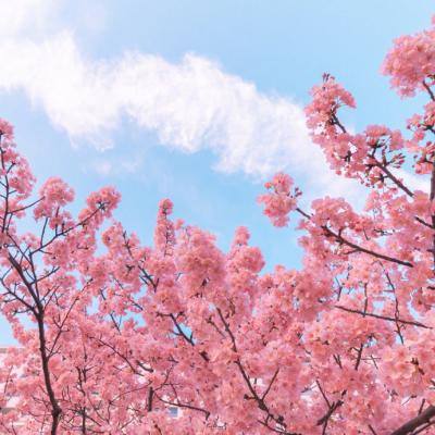神都封妖录变态版下载